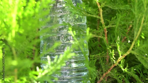 Ultra HD 4K video showing a discarded plastic water bottle among lush green vegetation. The contrast between plastic waste and natural plant life highlights environmental pollution
