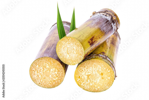 Картината върху платно Fresh Cut Sugarcane Stalks with Green Leaves