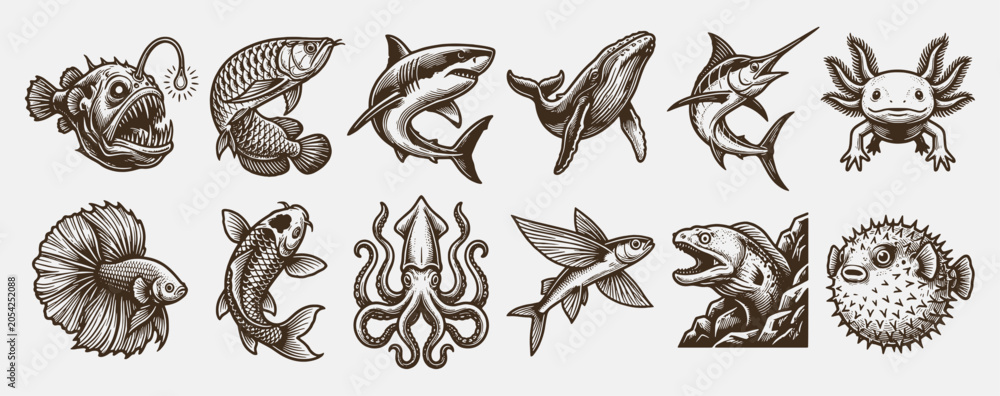 Φωτογραφία Vintage Sea Animals and Fish Collection Hand Drawn Engraving Style Vector Icons