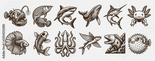Photography Vintage Sea Animals and Fish Collection Hand Drawn Engraving Style Vector Icons