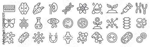 Foto 30 thin line Biology icons for web, app and interface design featuring skin, butterfly, amoeba, human brain, molecule