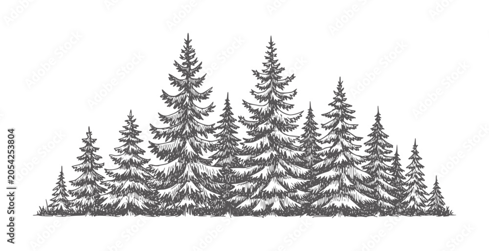 Fototapeta premium Hand drawn dark grey pine trees forest landscape nature
