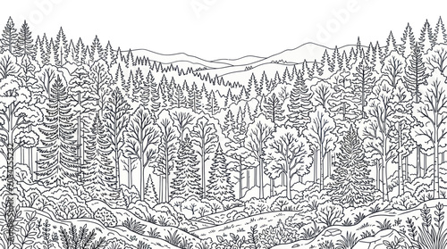 Canvastavla Detailed illustration of coniferous forest trees.
