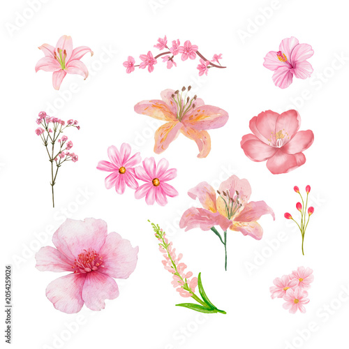 Obraz na plátne Watercolor Pink Floral Clipart Collection Isolated on Transparent Background