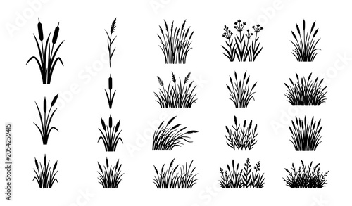 Tableau sur toile Minimal cattail reed silhouette vector collection with wetland vegetation