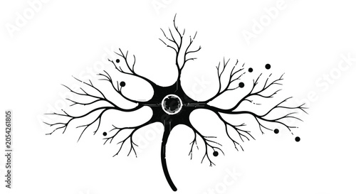 Neuron cell structure illustrates complex biological connections in human anatomy.