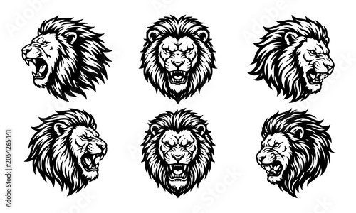 Head of Lion, angry lion vector, logo lion