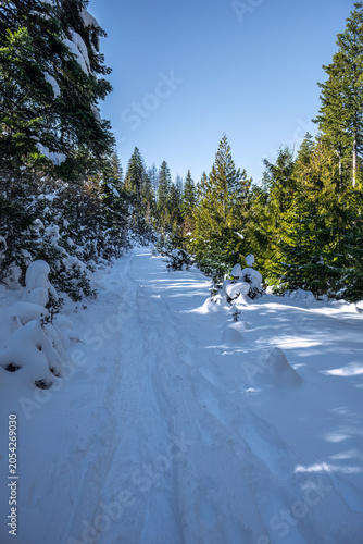 Snowshoeing in the Palouse Divide Area, Idaho