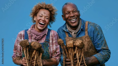Middle aged couple harvesting muddy root vegetables and smiling in studio with blue backdrop