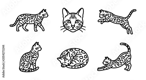 Tableau sur toile Bengal Cat Vector Icons Set, Stylized Feline Illustrations, Domestic Pet Line Ar