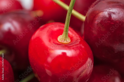 frische Süßkirschen aus Italien