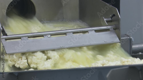 Industrial cheese curds and whey production machine