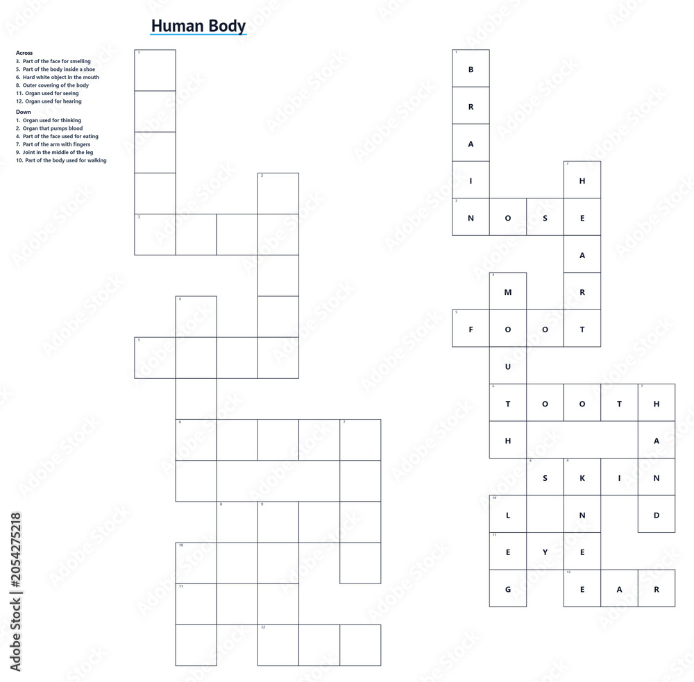 Obraz premium Crossword themed human body with clues and solution