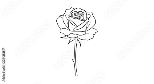 Quadro su tela A single rose with long stem.