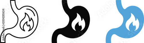 Cuadro en lienzo Stomach Acid Reflux Icon Set Gastritis Heartburn Medical Illustration Vector Gra