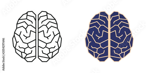 Stylized human brain anatomy viewed from above with geometric patterns in blue and beige against a white background