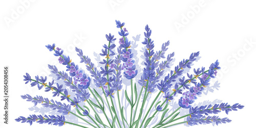 Cuadro en lienzo Lavender flowers sprigs