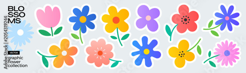 Tableau sur toile Set of colorful graphic flowers and botanical illustrations, isolated on a textured background
