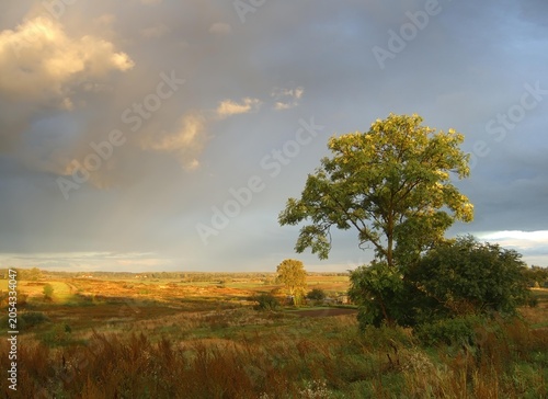 A picturesque view of the autumn landscape in the warm light of the setting sun.