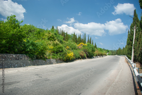 Empty asphalt country road with green trees, blooming yellow bushes, and tall cypress trees on a sunny summer day.