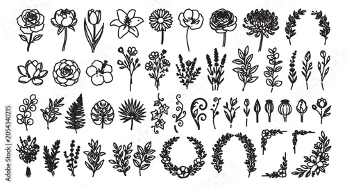 Tableau sur toile Hand drawn botanical line art collection, minimalist floral vector icons set, bl