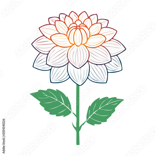 Dahlia Flower Line Art Vector Illustration