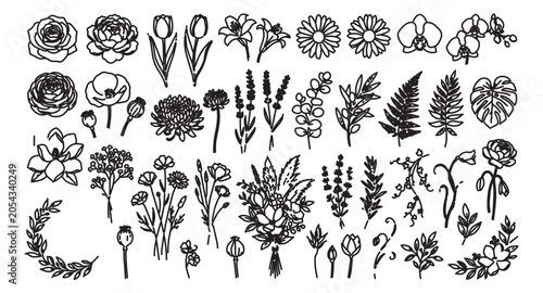 Hand drawn botanical line art collection, 40 floral vector icons and wildflower sketches, black ink garden blossoms and leaves for wedding stationery
