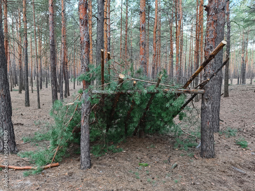 Branch based shelter among conifer trees, emphasizing natural materials and integration with the forest landscape