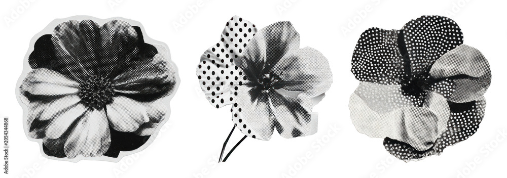 Fototapeta premium PNG Vintage floral collage art on transparent background