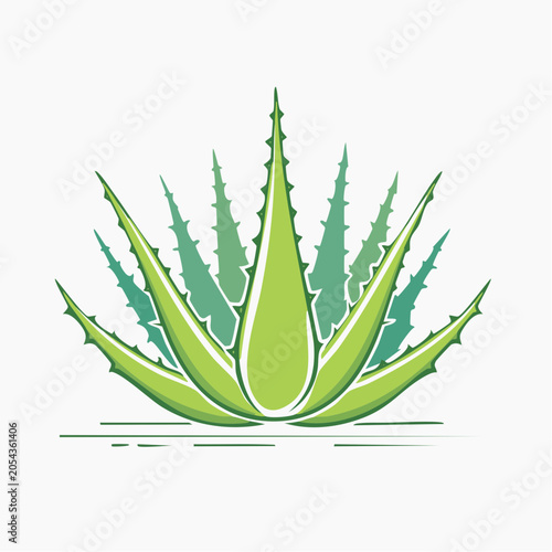 Stylized Aloe Vera Plant Illustration