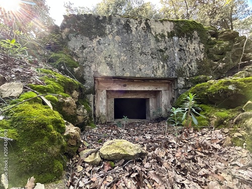 Bunker de hormigón camuflado entre rocas y vegetación