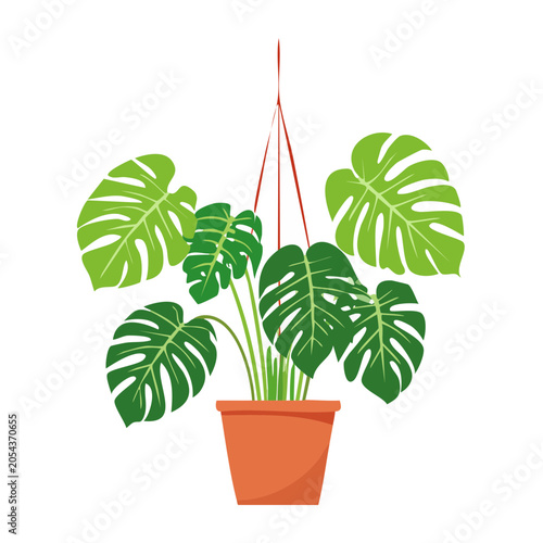 Monstera plant in terracotta pot, flat design