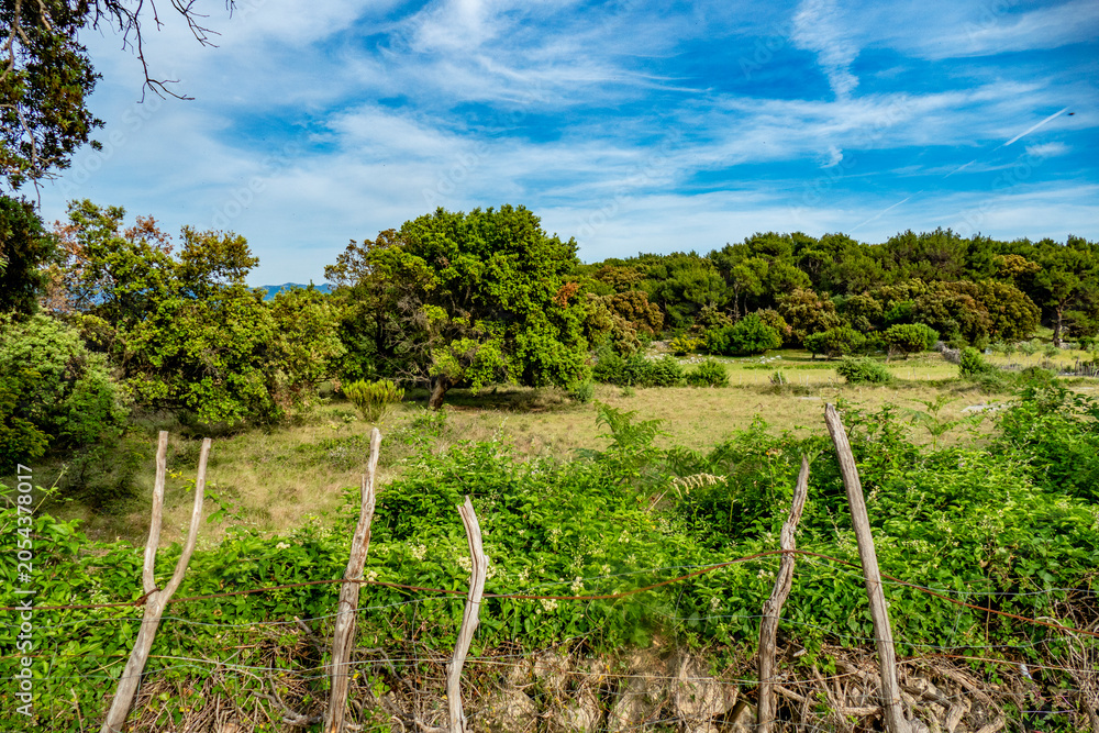 Fototapeta premium Landschaft mit kaputten Trockenmauern