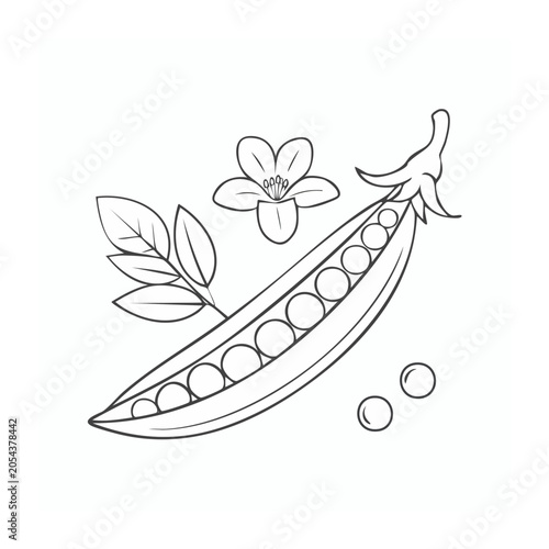 White line art sneaker vector isolated
