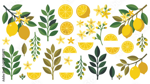 Foto Fresh yellow lemon fruit and blossom branch element set.