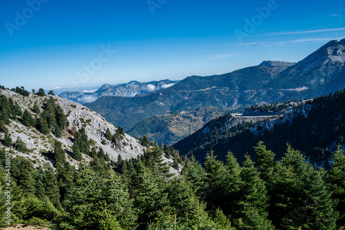 Mount Dirfis Mountain Range and Fir Forest Landscape in Evia, Greece