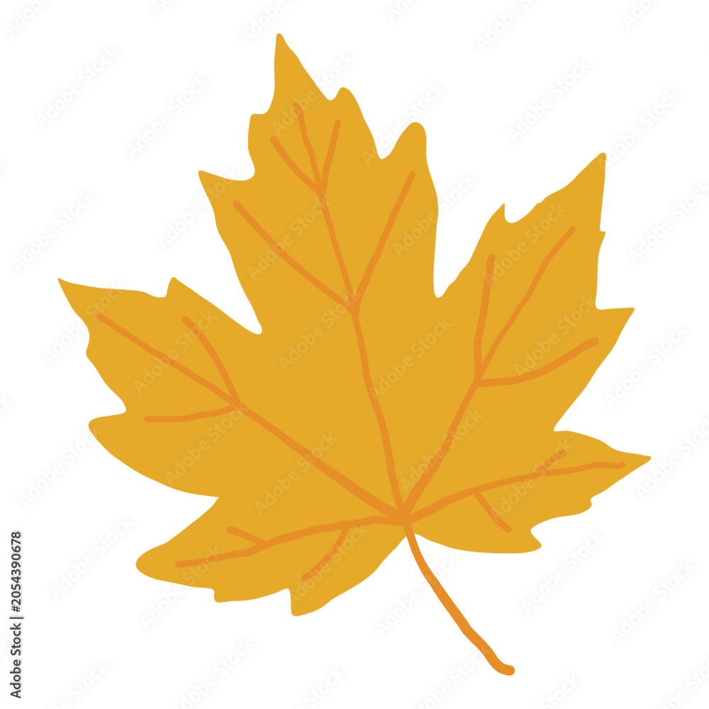 Fototapeta premium Yellow maple leaf, golden Canadian sycamore foliage, lobed botanical element in flat design for autumn pattern