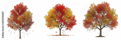 Isolated Autumn Tree Red Orange Foliage 3D Illustration Transparent Background Fall Season Nature Plant Forest Botanical Landscaping Graphic High Resolution Commercial Microstock Clip Art Design Asset