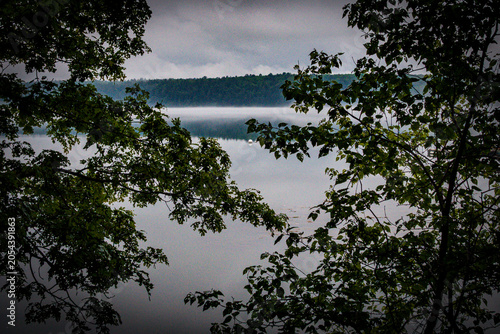 Fog on a river framed by trees