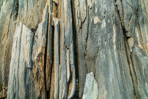 Landscape of Peaks Island in Maine