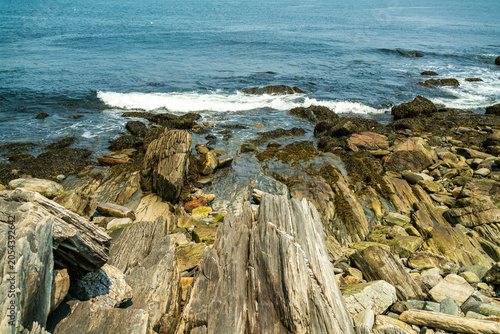 Landscape of Peaks Island in Maine