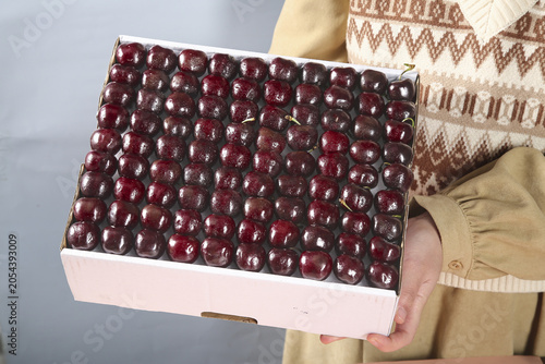 Foto Fresh Yantai Cherries from Shandong China in White Box - Premium Imported Fruit