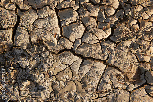 Fotografía Cracked dry soil caused by El Niño climate phenomenon