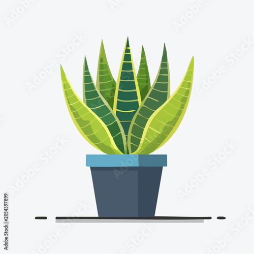 Potted Snake Plant Illustration