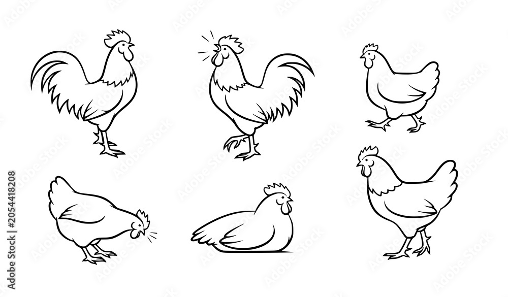 Obraz premium Minimal Rooster Silhouette Collection Vector Set Featuring Chicken and Cock Farm Animal Pose Bundle Isolated on White Background