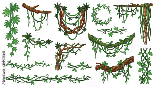 Εκτύπωση καμβά Tropical jungle vines and liana branches illustration.
