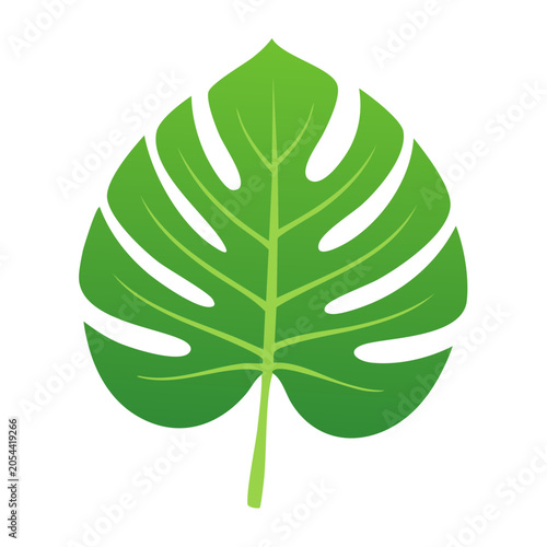 Monstera Leaf Flat Vector Illustration