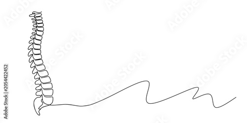 Foto A one continues line of a human spine anatomy designed as a vector
