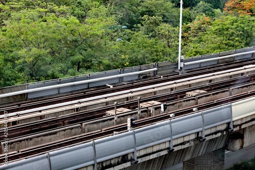 Foto Elevated train tracks winding through lush green trees and foliage