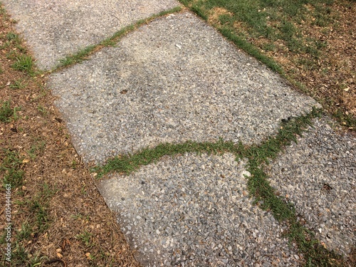 Cracked concrete pathway with grass growing through the seams